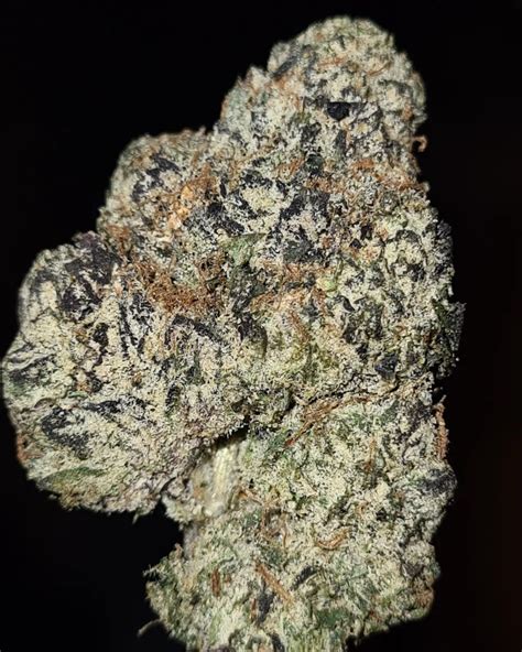 mega melon strain.